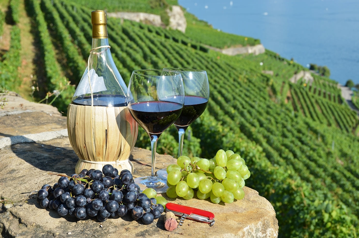 Вино во франции