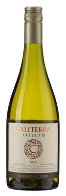Вино белое сухое «Chardonnay Tributo Caliterra» 2019 г.