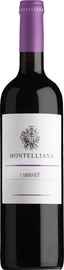 Вино красное сухое «Montelliana Cabernet Piave»