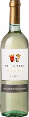 Вино белое сухое «Villa Alba Pinot Grigio» 2019 г.