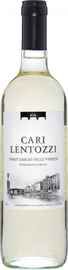 Вино белое сухое «Cari Lentozzi Pinot Grigio Delle Venezie Villa degli Olmi» 2020 г.