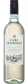 Вино белое сухое «Cari Lentozzi Sauvignon Blanc Trevenezie Villa degli Olmi» 2020 г.