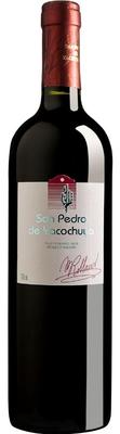 Вино красное сухое «San Pedro de Yacochuya» 2018 г.
