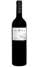 Вино красное сухое «Celler Cal Pla Priorat» 2018 г.