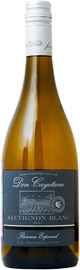 Вино белое сухое «Don Cayetano Sauvignon Blanc Reserva Especial» 2021 г.