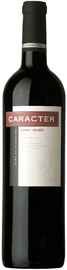 Вино красное сухое «Caracter Shiraz-Malbec» 2013 г.