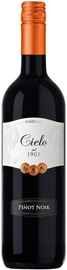 Вино красное полусухое «Cielo e Terra Pinot Noir» 2020 г.