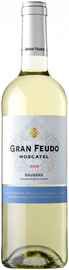 Вино белое сухое «Gran Feudo Moscatel» 2020 г.