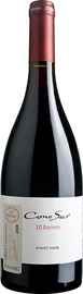 Вино красное сухое «Cono Sur 20 Barrels Pinot Noir Limited Edition Colchagua Valley» 2011 г.