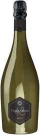 Игристое вино белое брют «Темелион 48»
