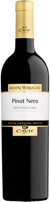 Вино красное сухое «Mastri Vernacoli Pinot Nero» 2021 г.