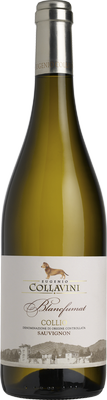 Вино белое сухое «Eugenio Collavini Blanc Fumat Sauvignon» 2013 г.