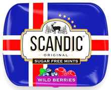 Конфеты-драже без сахара «SCANDIC Wild Berries» в металлической коробке