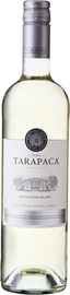 Вино белое сухое «Tarapaca Sauvignon Blanc» 2022 г.