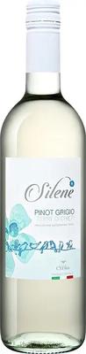 Вино белое сухое «Silene Pinot Grigio Terre di Chieti» 2021 г.
