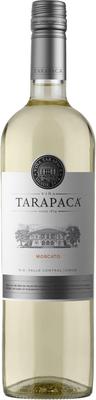 Вино белое сладкое «Tarapaca Moscato» 2022 г.