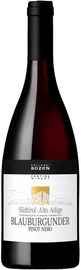 Вино красное сухое «Kellerei Bozen Pinot Nero Blauburgunder» 2022 г.