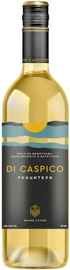 Вино белое сухое «Di Caspico Rkatsiteli» 2022 г.