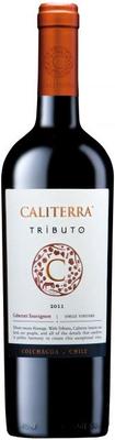 Вино красное сухое «Calitera Cabernet Sauvignon Tributo» 2010 г.