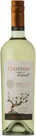 Вино белое сухое «Caliterra Sauvignon Blanc Tributo» 2010 г.