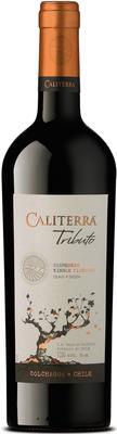 Вино красное сухое «Caliterra Carmenere Tributo» 2009 г.