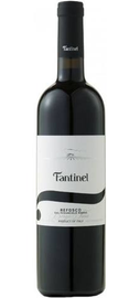 Вино красное сухое «Fantinel Refosco Borgo Tesis» 2010 г.