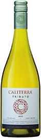 Вино белое сухое «Chardonnay Tributo» 2013 г.