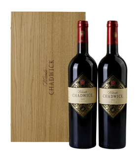 Вино красное сухое «Vinedo Chadwick» в деревянном футляре