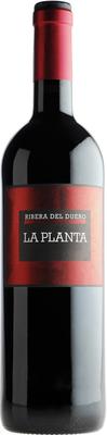 Вино красное сухое «La Planta» 2014 г.