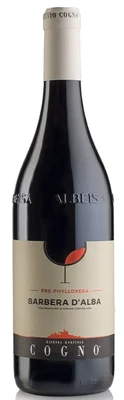 Вино красное сухое Elvio Cogno Pre-Phylloxera Barbera d'Alba, 0.75 л 2023