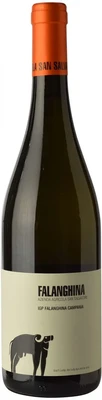 Вино белое сухое San Salvatore Falanghina Campania IGT, 0.75 л 2020