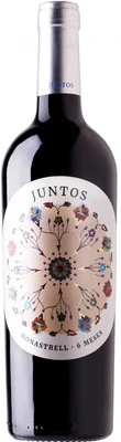 Вино красное сухое Viu Manent Gran Reserva Carmenere Colchagua Valley DO, 0.75 л 2023