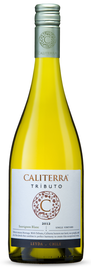 Вино белое сухое «Caliterra Sauvignon Blanc Tributo» 2015 г.