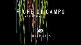 Вино белое сухое «Fiore di Campo Lis Neris» 2014 г.