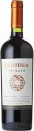 Вино красное сухое «Cabernet Sauvignon Tributo» 2014 г.