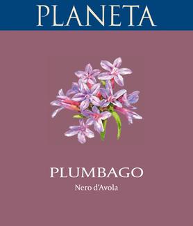 Вино красное сухое «Plumbago» 2013 г.
