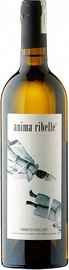 Вино белое сухое «Anima Ribelle Fiano di Avellino» 2014 г. с защищенным географическим указанием