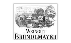 Вино белое полусухое «Weingut Brundlmayer Riesling Zobinger Heiligenstein Alte Reben» 2011 г.