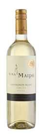 Вино белое полусухое «Vina Maipo Sauvignon Blanc 1948» 2016 г.