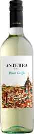 Вино белое сухое «Anterra Pinot Grigio» 2015 г.