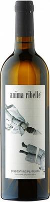 Вино белое сухое «Anima Ribelle Beneventano Falanghina» 2013 г.