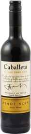 Вино красное сухое «Caballeta Pinot Noir»