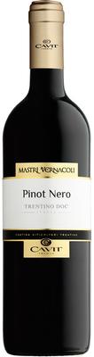 Вино красное сухое «Mastri Vernacoli Pinot Nero Trentino» 2016 г.