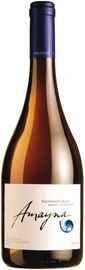 Вино белое сухое «Vina Garces Silva Limitada Amayna Sauvignon Blanc Barrel Fermented» 2010 г.