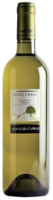 Вино белое сухое «Anima Umbra Grechetto» 2017 г.