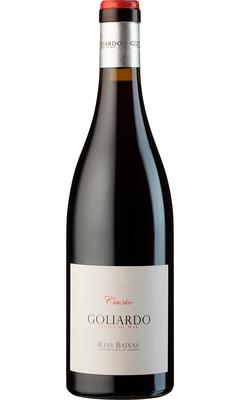 Вино красное сухое «Goliardro Caino» 2013 г.