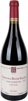 Вино красное сухое «Pavel Shvets Pinot Noir Cler Nummulite, 0.75 л» 2016 г.