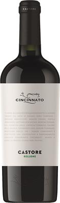 Вино белое сухое «Bellone Castore Cincinnato» 2017 г.