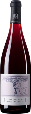 Вино красное сухое «Friedrich Becker B Spatburgunder Pfalz» 2013 г.