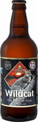 Пиво «Kerngorm Wild Cat»